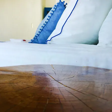 Apartment Loukia &